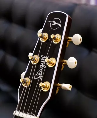 Seagull Guitars - Artist Mosaic CW HG EQ Acoustic/Electric Guitar 2